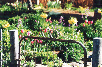 Olde Cottage Garden Gate Photo
